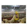 /product-detail/hot-sale-day-old-price-rooster-cage-for-laying-hens-byby-chicken-cage-for-sale-62007864259.html