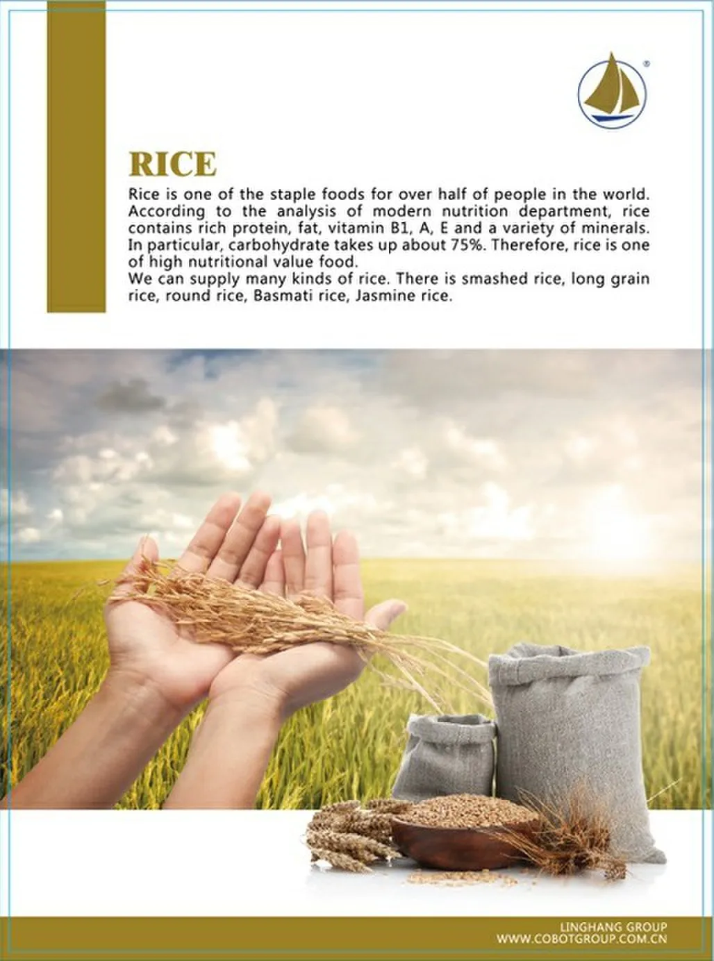 agricultural products of rice import company