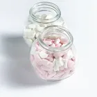 lactobacillus pill health chewable probiotics supplement tablet candy