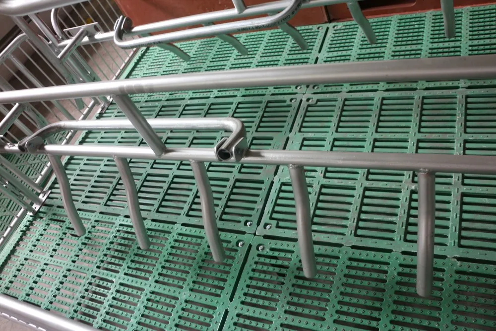 Farrowing Pen Design Buy Farrowing Pen Design,Farrowing Crates For