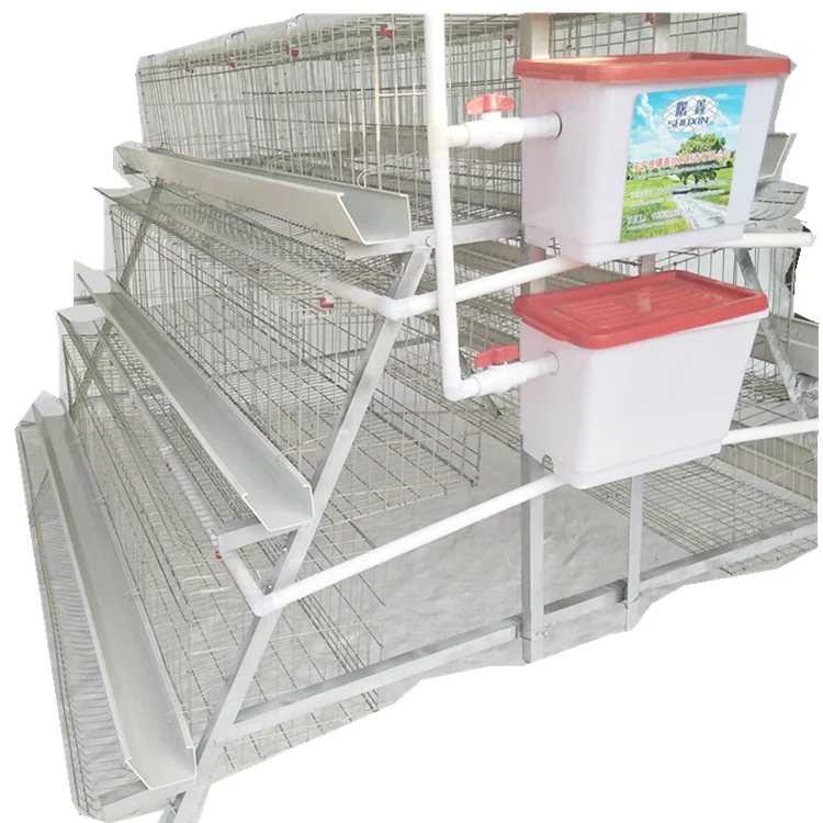 Automatic Nipple Drinking System battery cages laying hens For Poultry Farm