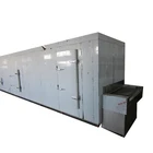Low Price Environment Friendly Frozen Food Ammonia Tunnel Freezer with Stainless Steel