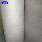 Paper Insulation Paper 6650 Class H NHN Nomex Insulation Paper