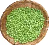 Chinese 100% pure fresh IQF frozen peas