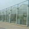 /product-detail/the-cheapest-hot-sale-agricultural-commercial-greenhouse-pc-sheet-covering-venlo-60749898417.html