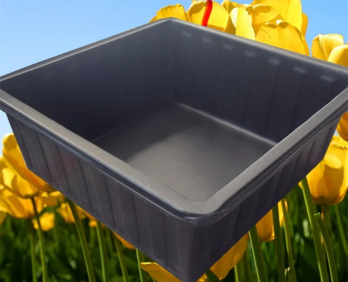 Large Black Plastic Plant Trays Supplier Buy Square Plastic Tray