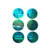 Custom Made High Standard Security Hologram Sheet Adhesive Stickers in China