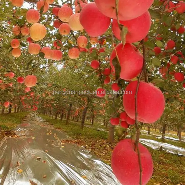 Heat reflective plastic agricultural mulch film