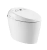 /product-detail/tankless-white-instant-heat-japanese-one-piece-wc-toilet-zjz1200-60524785831.html