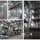 Bulk Moringa Powder Powder Bulk Moringa Powder Factory Supply Bulk Moringa Leaf / Seed Extract Powder