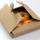 Ningbo Small flat Kraft paper photo gift box,Cookies baking cheap kraft paper box,Biscuit Pizza packaging box