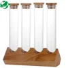 Engraved or printed Logo high quality test tube wooden display rack