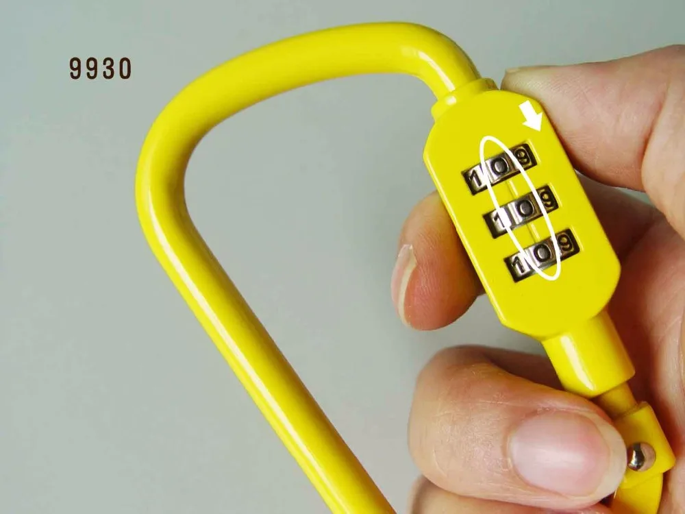 9930 04.jpg