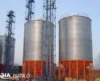 Powder Storage Wheat Flour Silo Price And Hopper Bottom Small Storage Steel Grain Silo From Shandong Supplier
