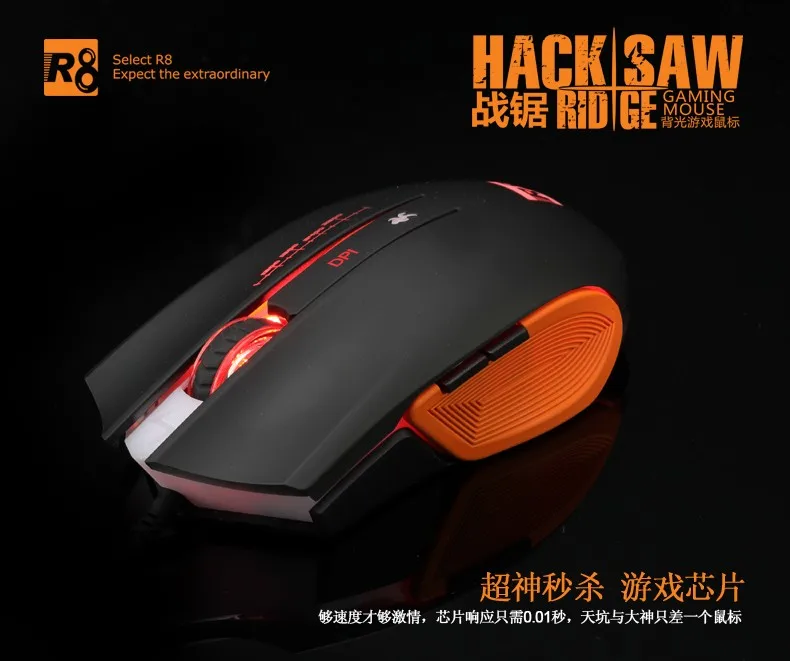 R8 161002.jpg