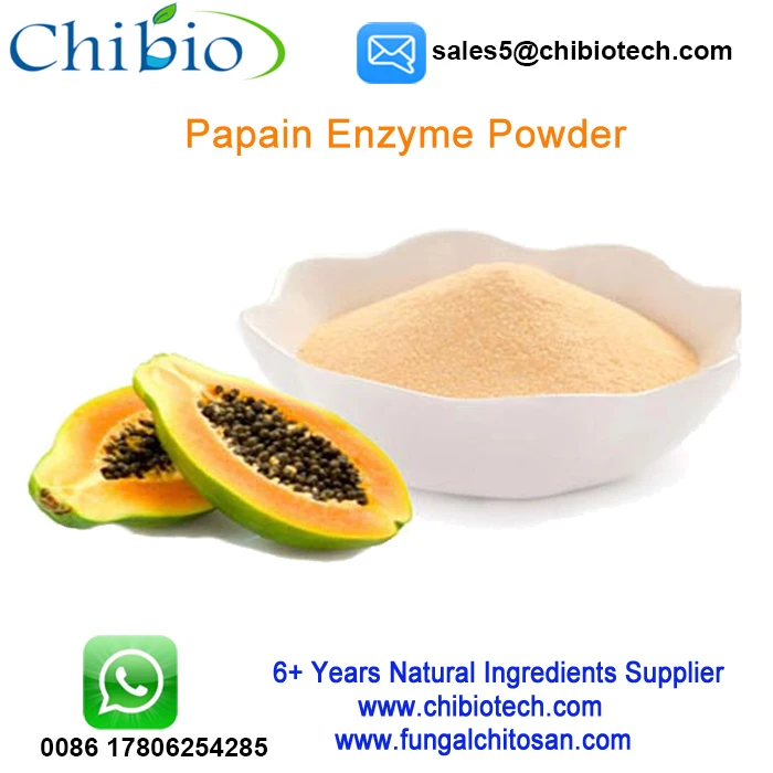 raw materials papaya extract papain enzyme powder bulk for woud