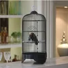 /product-detail/wholesale-metal-wire-parrot-bird-breeding-cages-stainless-bird-pigeon-parrot-cage-62049367233.html