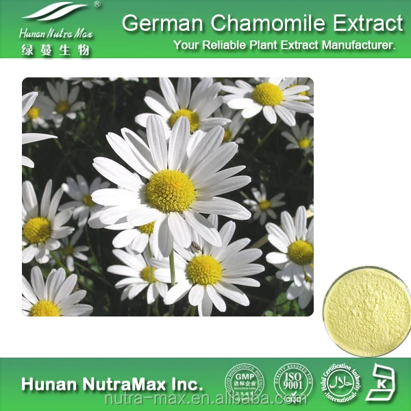 100% natural wild chamomile flower extract powder apigenin 1.