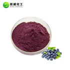 Low-temperature Freeze Dried Blueberry Fruit Powder For Baking