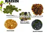 chinese new crop all types of raisins