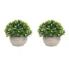 /product-detail/set-of-2-realistic-potted-plastic-faux-little-leaves-shrubs-artificial-ornamental-plants-for-decor-62216868361.html