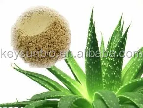 aloe vera dried powder