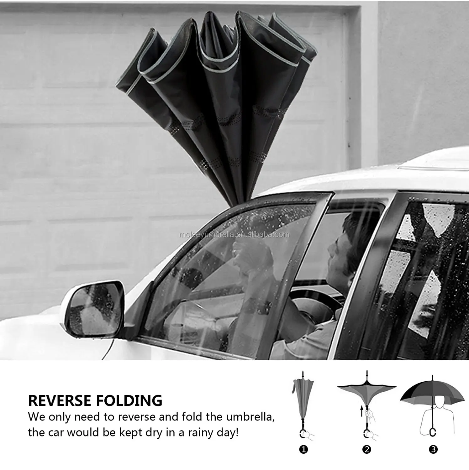 inverted umbrella (2).jpg