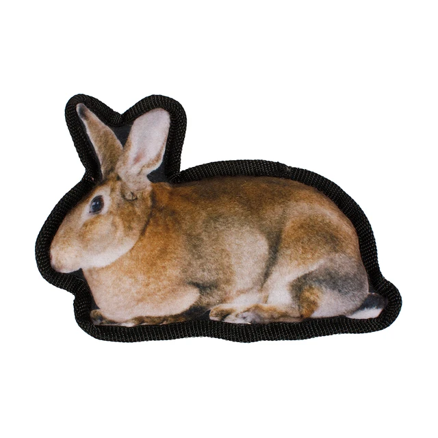 rabbit pets toys