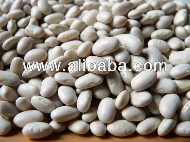 ethiopian white pea beans