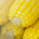 Frozen Corn Frozencorn Corn MY-TEXT Iqf Frozen Fresh Super Sweet Corn