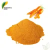 /product-detail/food-color-supplement-carrot-extract-juice-powder-beta-carotene-10-cws-water-soluble-60724861276.html