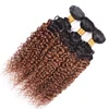 Kinky Curly 1B/30 Ombre Weave Human Hair Bundles , Medium Auburn Brazilian Virgin Hair 3 or 4 Bundles Extension