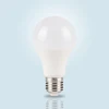 CHINA SUPPLIER A60 7w LED BALL BULB LED LIGHTS MANUFACTURE DIRECT SALES