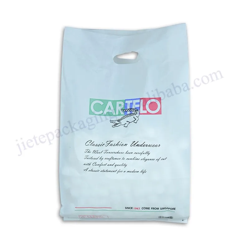 logo cargo bag (4).jpg