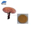 /product-detail/factory-supplier-ganoderma-diabetes-powder-with-great-price-60582111425.html