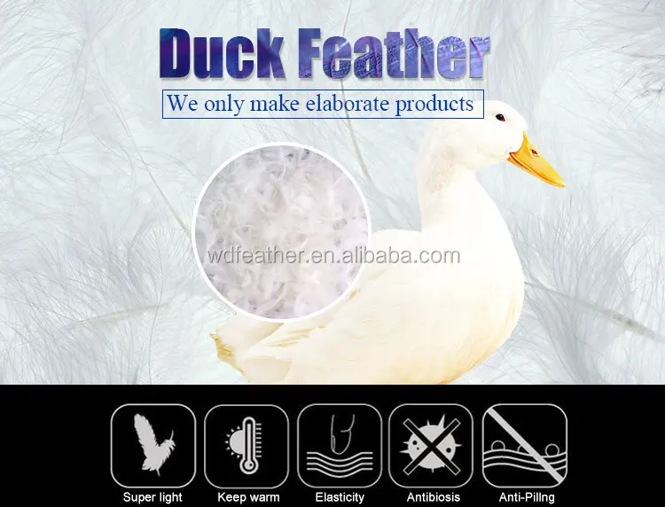 large decorative washed white duck feather