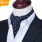 Chunhe Polyester Men's Fashion Ascot Tie Cravat