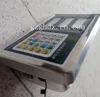 electronic weighing indicator for truck scale , stainless steel weighing price indicator