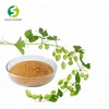 /product-detail/coa-no-569-83-5-hops-extract-xanthohumol-powder-60800546002.html