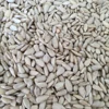 sunflower seeds kernel confectionery grade&bakery grade