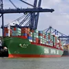 Effective Economical Sea Freight Service Charges China to USA Canada Australia Logistics