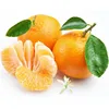 /product-detail/export-oranges-of-fresh-orange-prices-60560240674.html