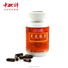 Raw Reishi Mushroom Spore Health Care supplement Immune Booster Capsule