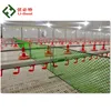 Factory Price Automatic Chicken Used Poultry Farm Equipment for Layer/Broiler/Pullet/Breeder
