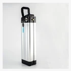 Lithium Iron Battery pack 24V18AH / 36V12AH / 48V10AH for motorcycle battery E-bike E-moto Battery