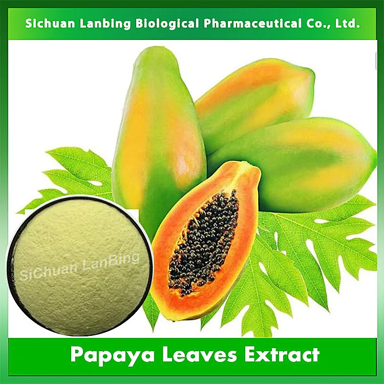 papaya leaves extract as meat tender papaya leaves extract as meat tender