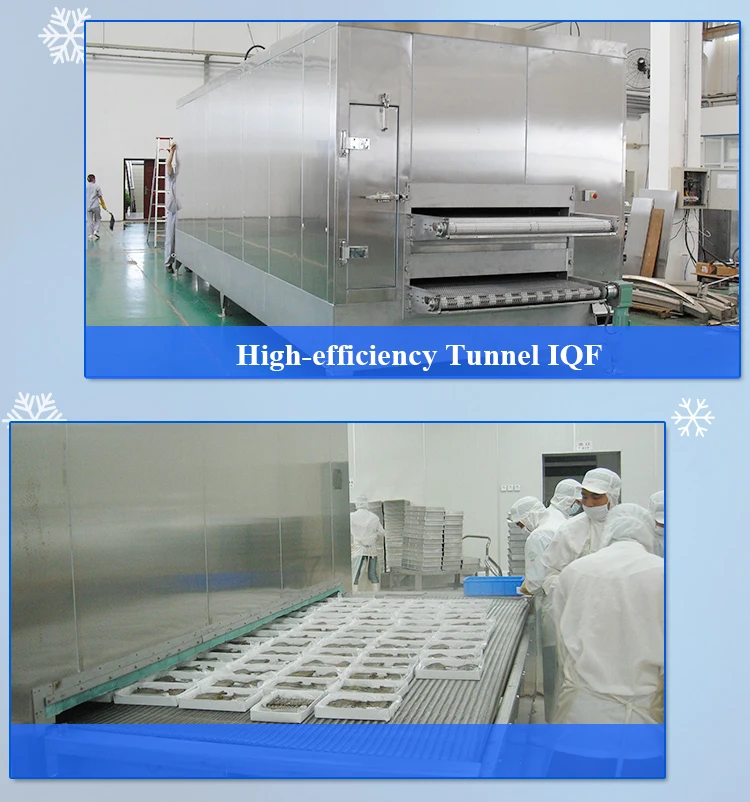 Industrial Automatic Contact Plate, 40C, 500~2000kg/h - detail 6