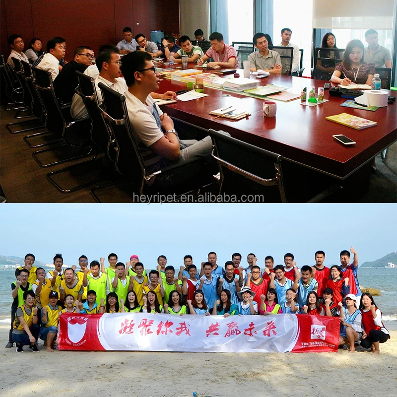 company information