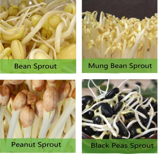 applicatio ns:bean sprouts, mung bean sprouts,peanut sprouts