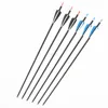 /product-detail/compound-bow-arrow-for-hunting-60758368488.html